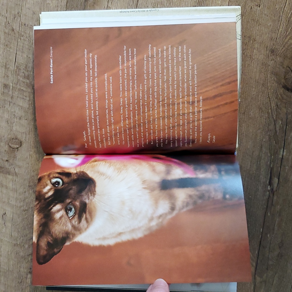 Cat Lover Books - Picture 8 of 8